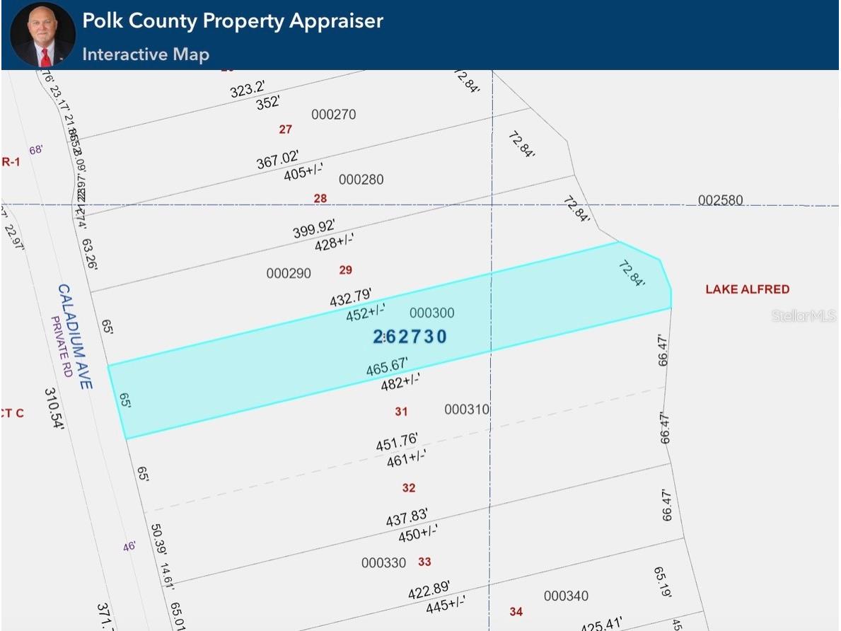 328 Caladium Avenue Lake Alfred FL 33850 - 3 LAKES: ALFRED VAN MEDORA L4959966 image7