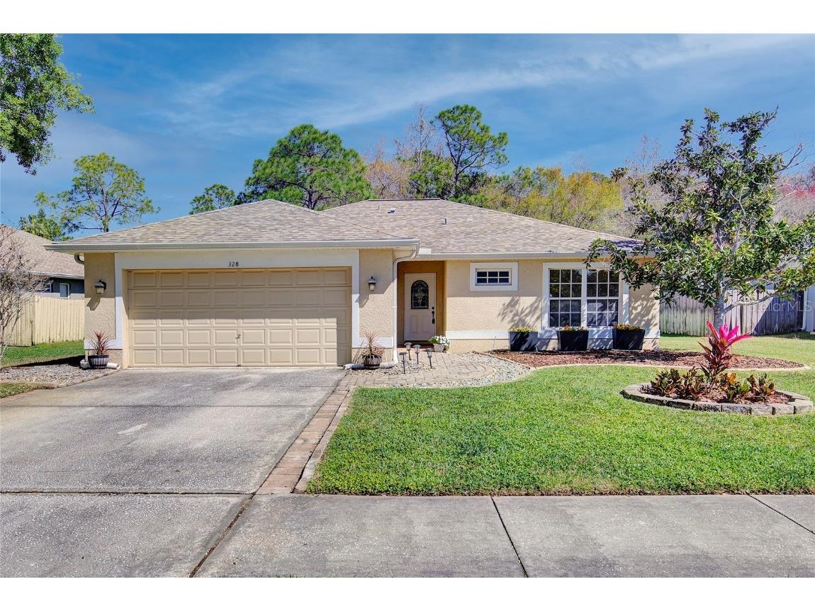 328 Fountainview Circle Oldsmar FL 34677 U8232058 image1