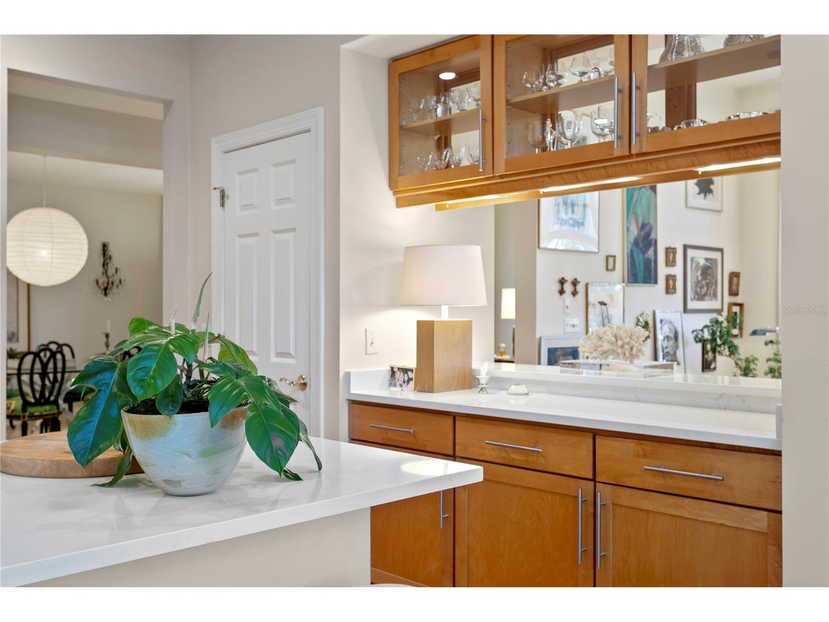 328 Inner Harbour Circle Tampa FL 33602 - SEDDON CHANNEL TB8465605 image25