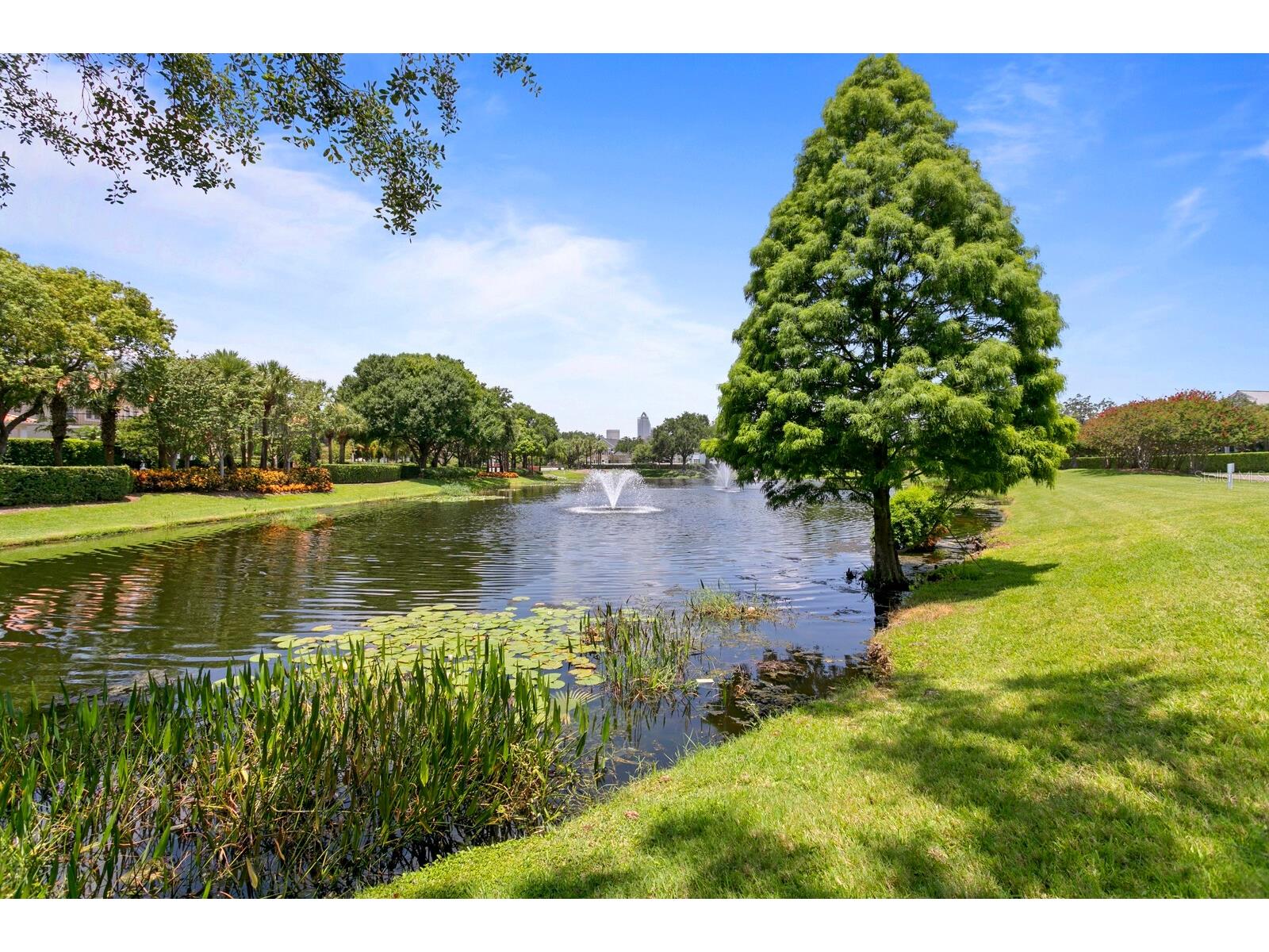 328 Inner Harbour Circle Tampa FL 33602 - SEDDON CHANNEL TB8465605 image59