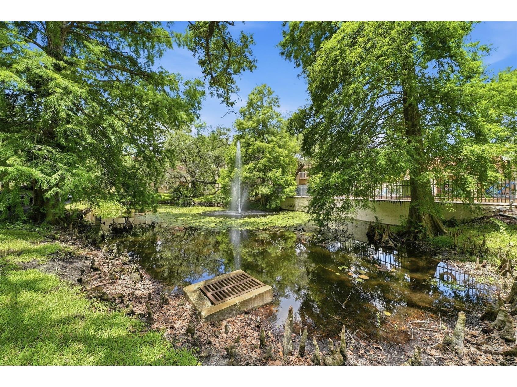 328 Los Prados Drive #328 Safety Harbor FL 34695 TB8515941 image31