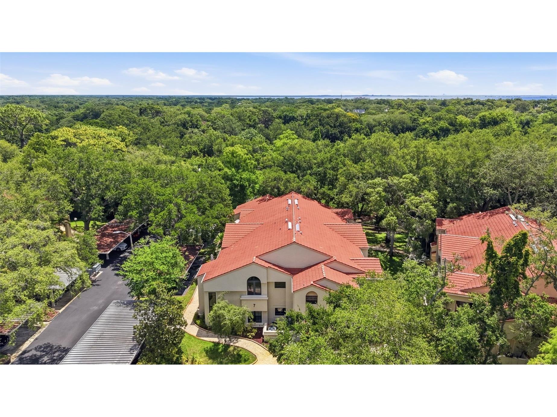 328 Los Prados Drive #328 Safety Harbor FL 34695 TB8515941 image39