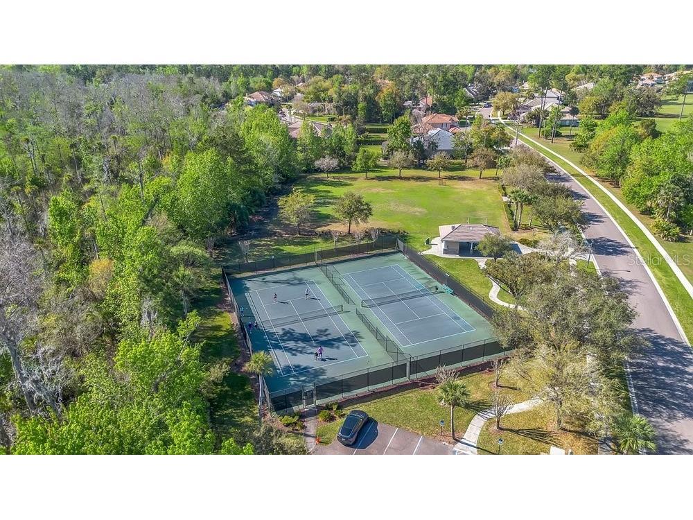 328 Mapleview Court Lake Mary FL 32746 O6393330 image55