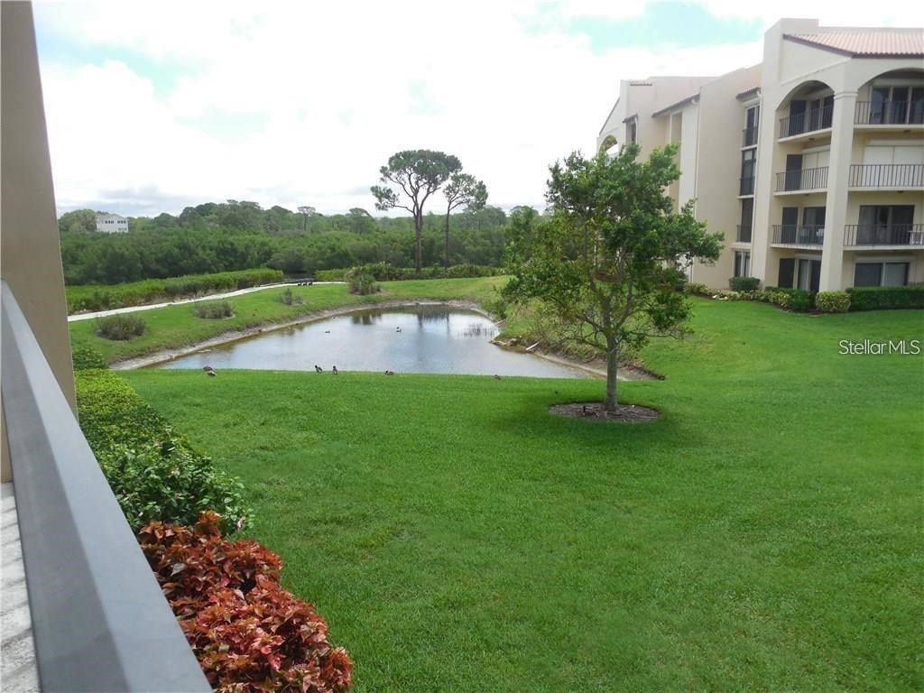 328 Mariner Drive #328 Tarpon Springs FL 34689 TB8505555 image17