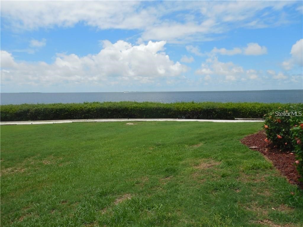 328 Mariner Drive #328 Tarpon Springs FL 34689 TB8505555 image19