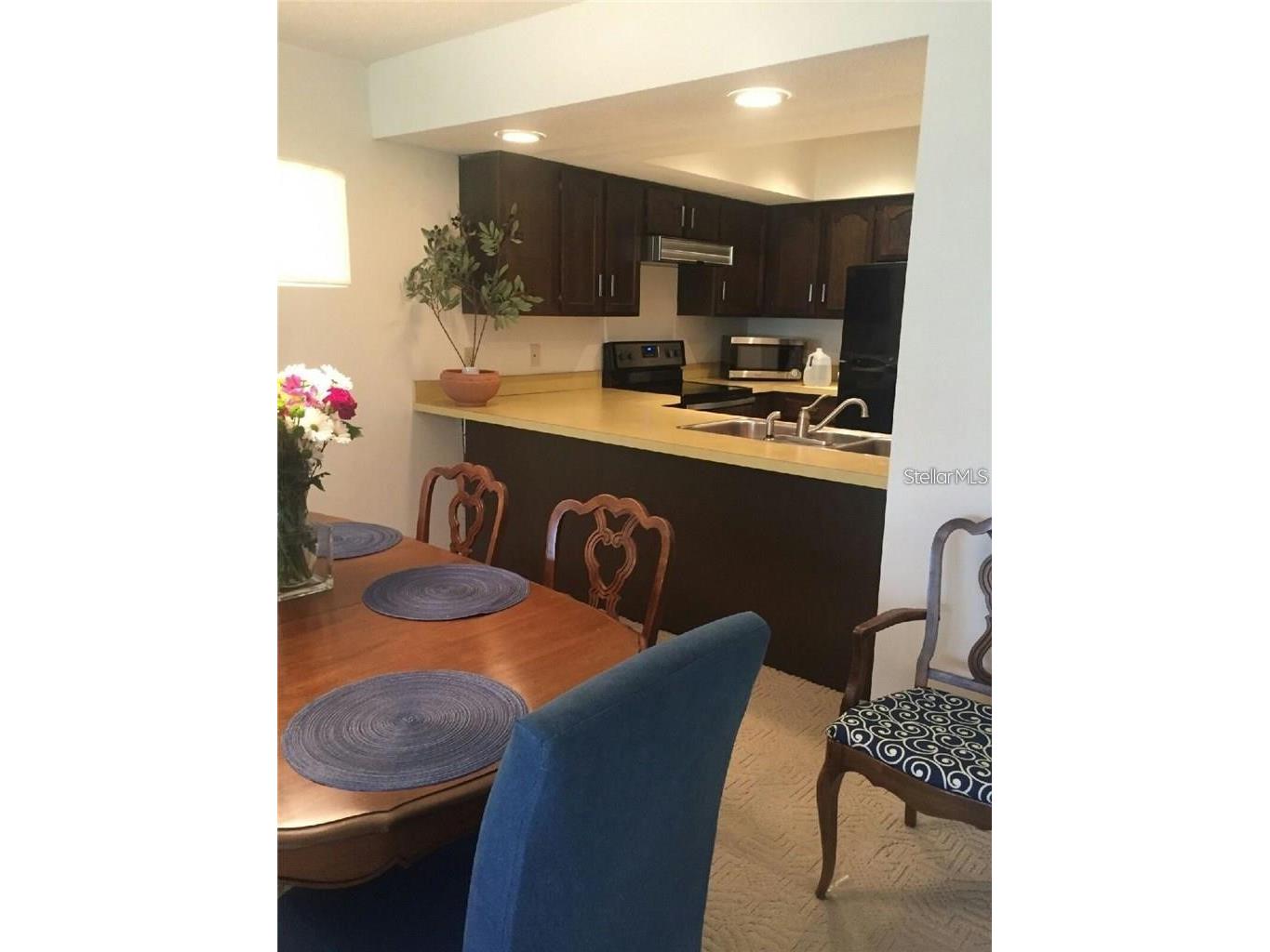 328 Mariner Drive #328 Tarpon Springs FL 34689 TB8505555 image5