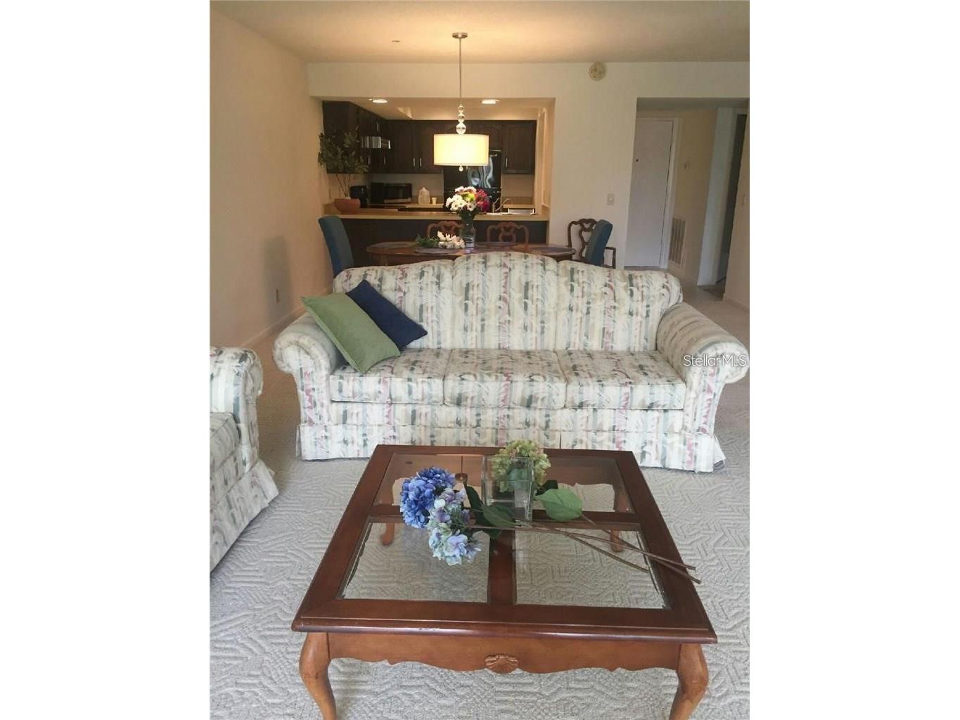 328 Mariner Drive #328 Tarpon Springs FL 34689 TB8505555 image6