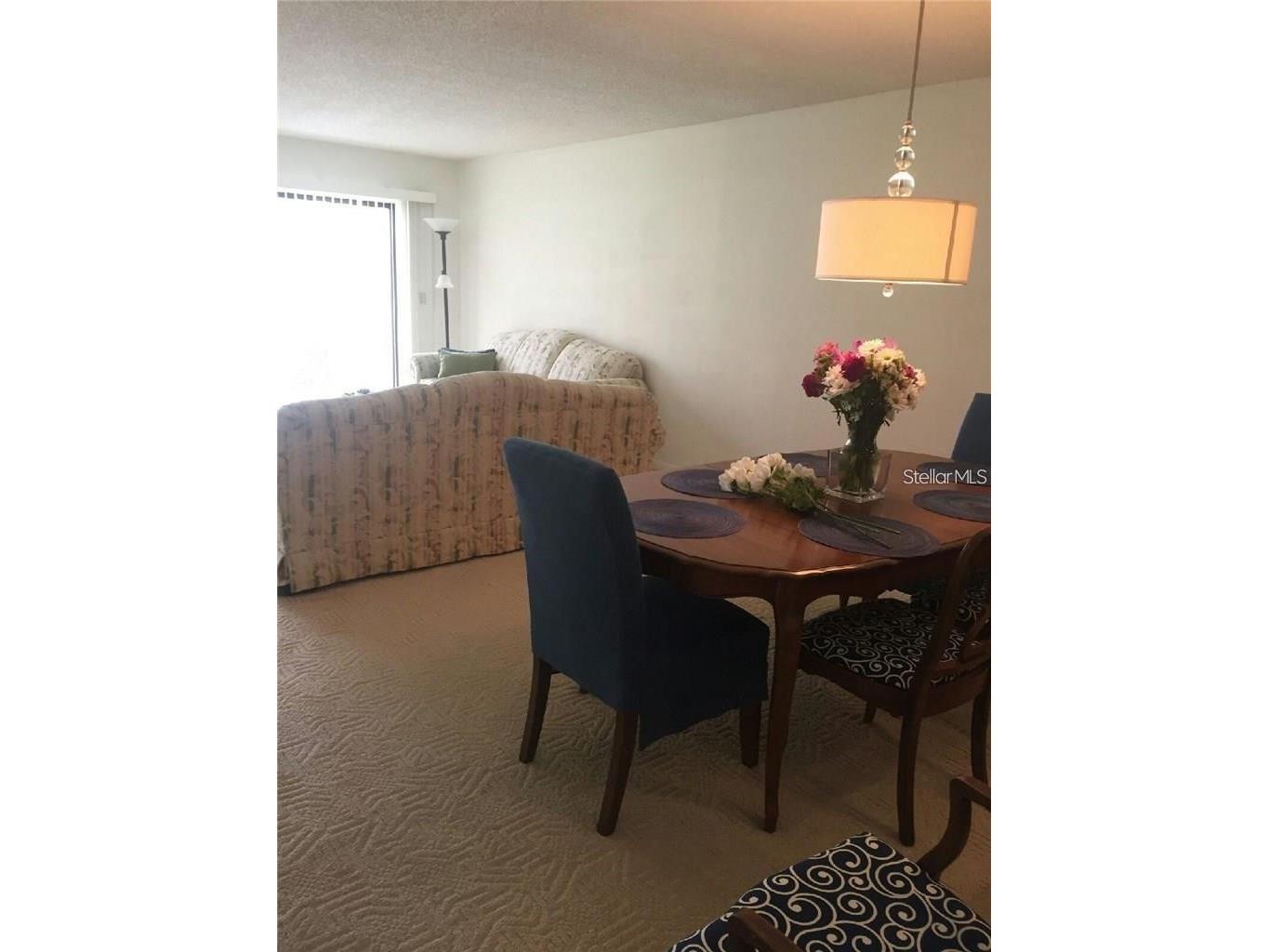 328 Mariner Drive #328 Tarpon Springs FL 34689 TB8505555 image8