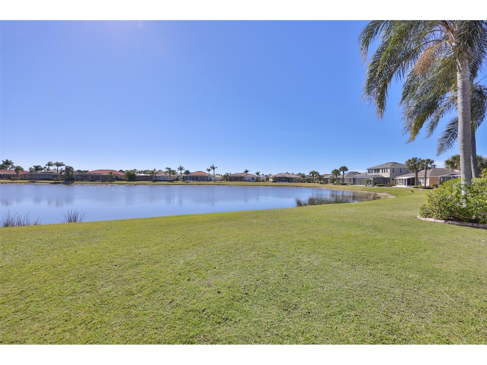 328 Noble Faire Drive Sun City Center FL 33573 TB8468075 image52