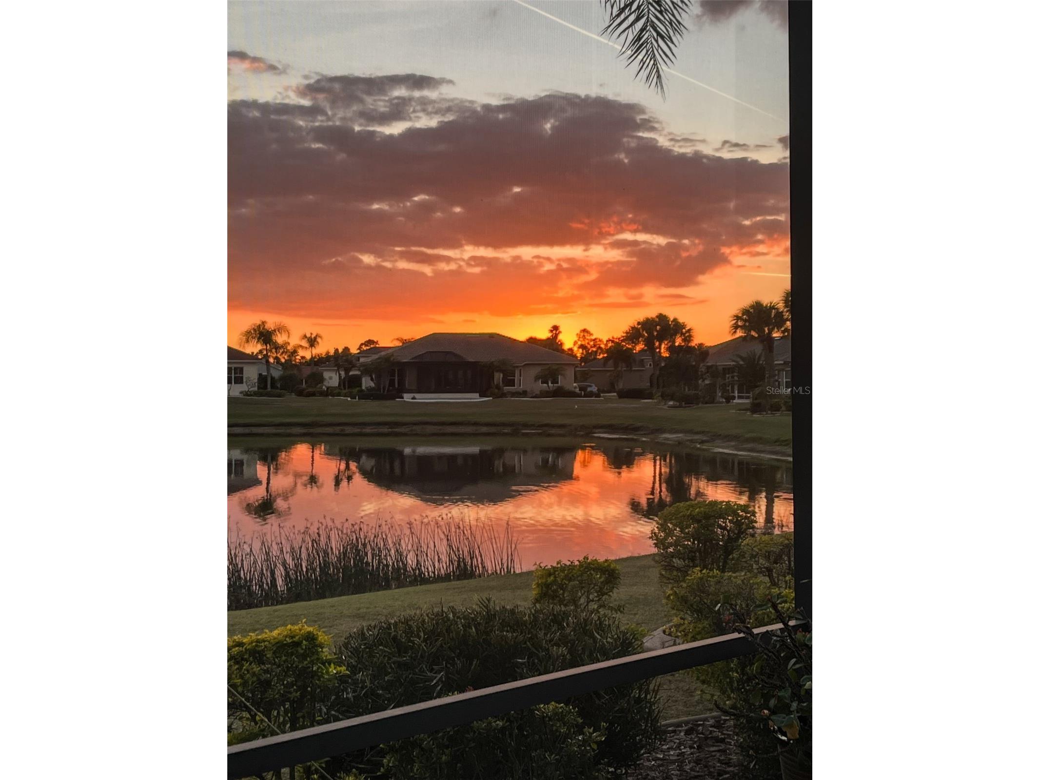 328 Noble Faire Drive Sun City Center FL 33573 TB8468075 image53