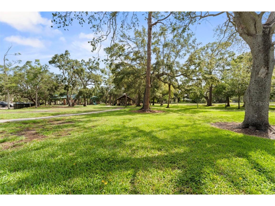 328 Pershing Street Dunedin FL 34698 TB8394592 image45