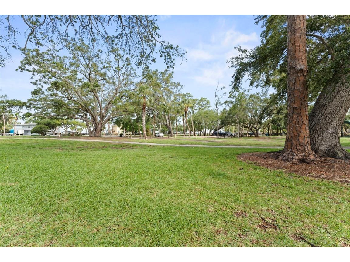 328 Pershing Street Dunedin FL 34698 TB8394592 image46