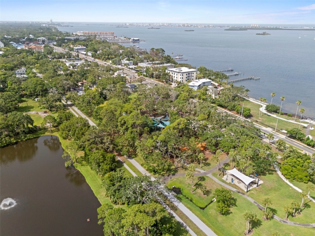 328 Pershing Street Dunedin FL 34698 TB8394592 image52