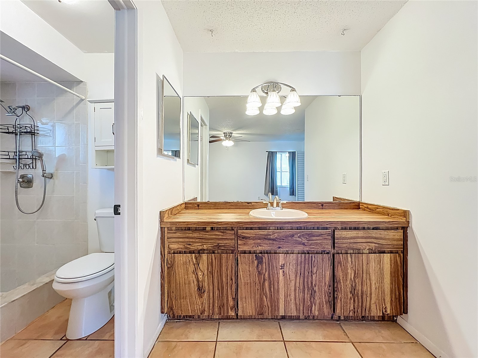 328 Shadow Oak Drive Casselberry FL 32707 O6396655 image25