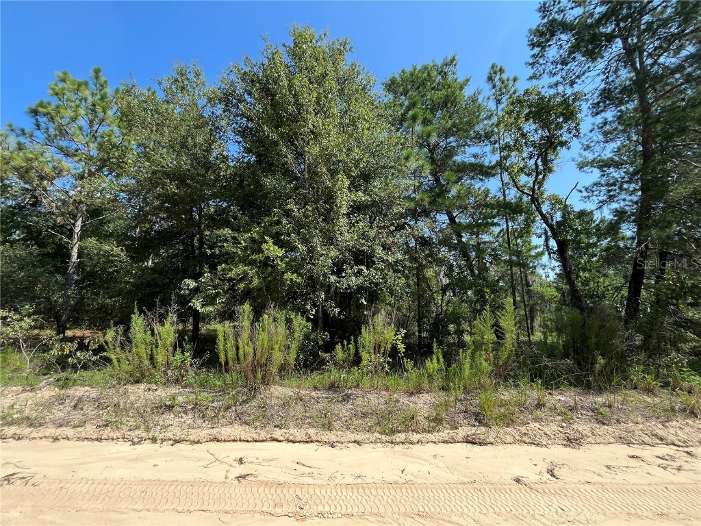 328 Shangri-La Street Interlachen FL 32148 OK224288 image1