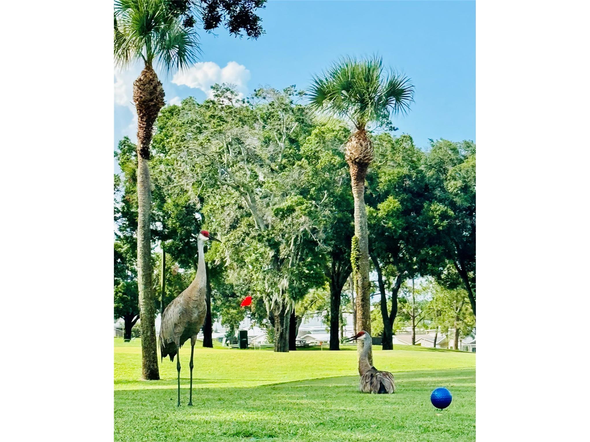 328 St George Drive Davenport FL 33837 O6380384 image39
