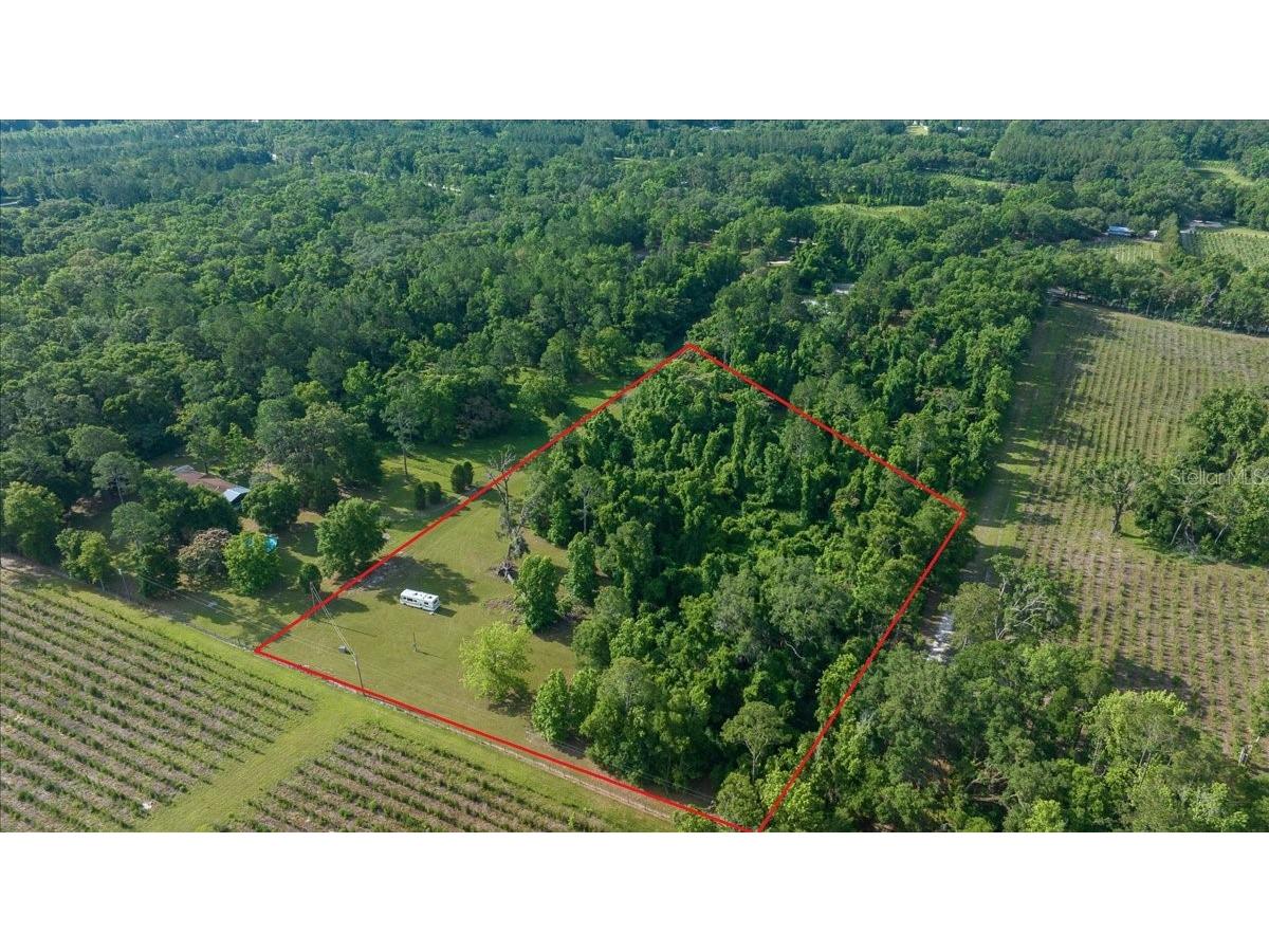 328 SW Gulliver Court High Springs FL 32643 OM701459 image1