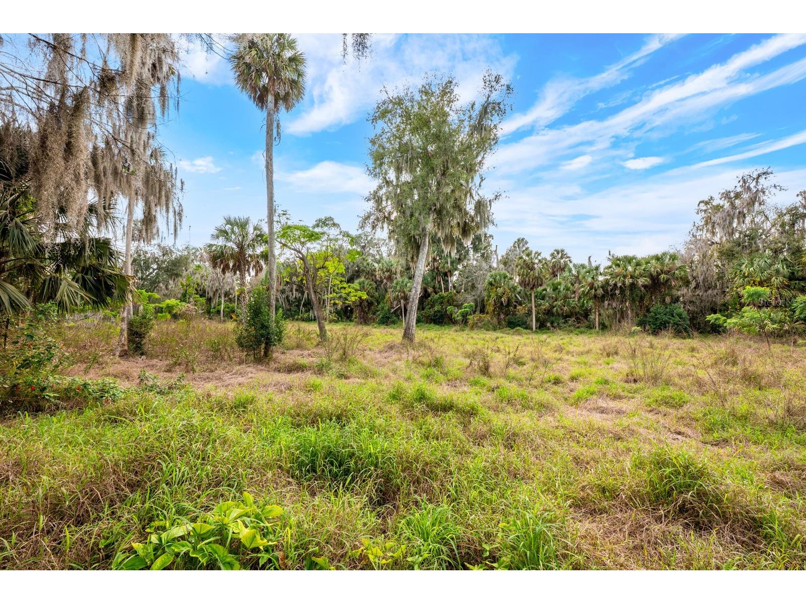 3280 & 3198 Sheaf Road Apopka FL 32703 - LAKE APOPKA O6376000 image15