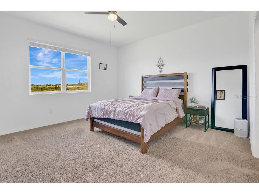 3280 Canna Lily Place Clermont FL 34711 O6313185 image12