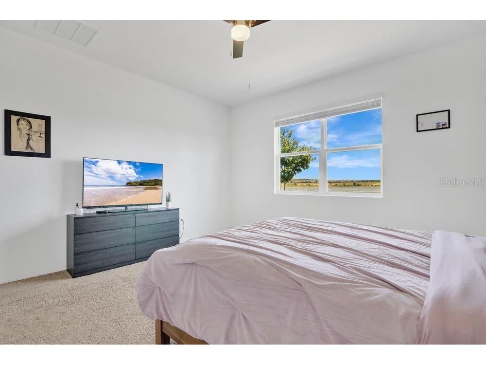 3280 Canna Lily Place Clermont FL 34711 O6313185 image13