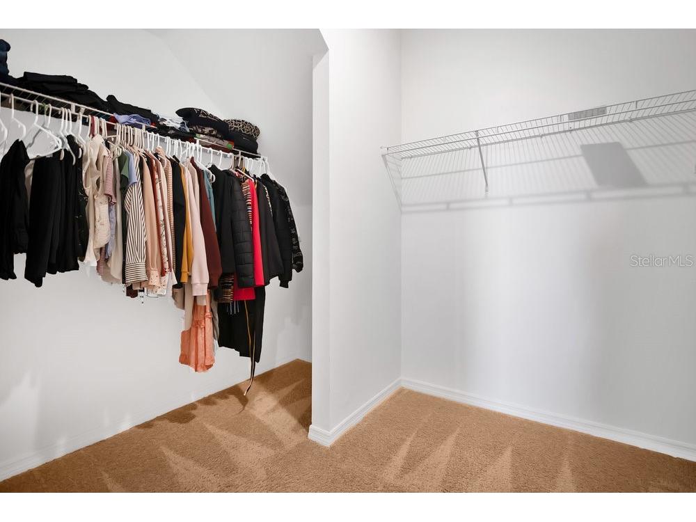 3280 Canna Lily Place Clermont FL 34711 O6313185 image15