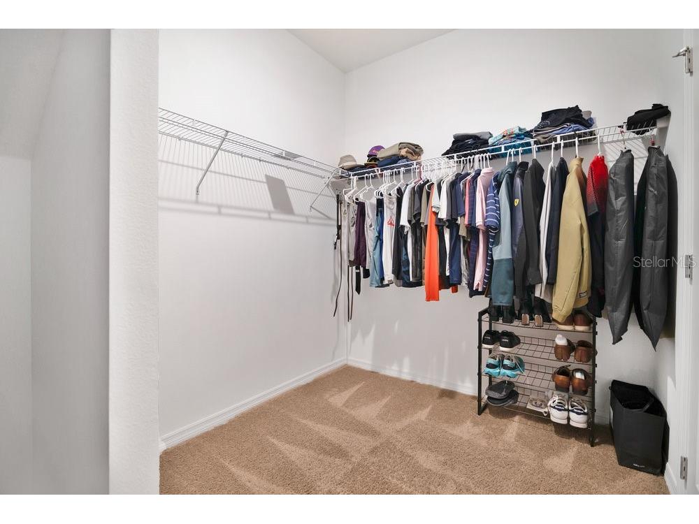 3280 Canna Lily Place Clermont FL 34711 O6313185 image16