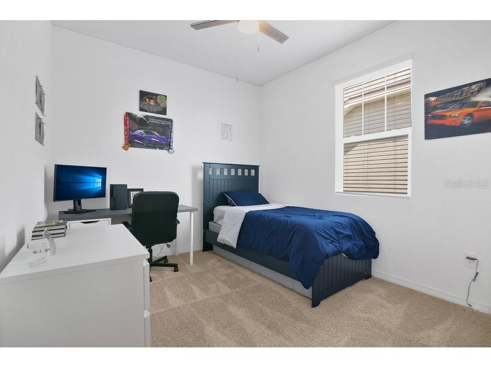 3280 Canna Lily Place Clermont FL 34711 O6313185 image17