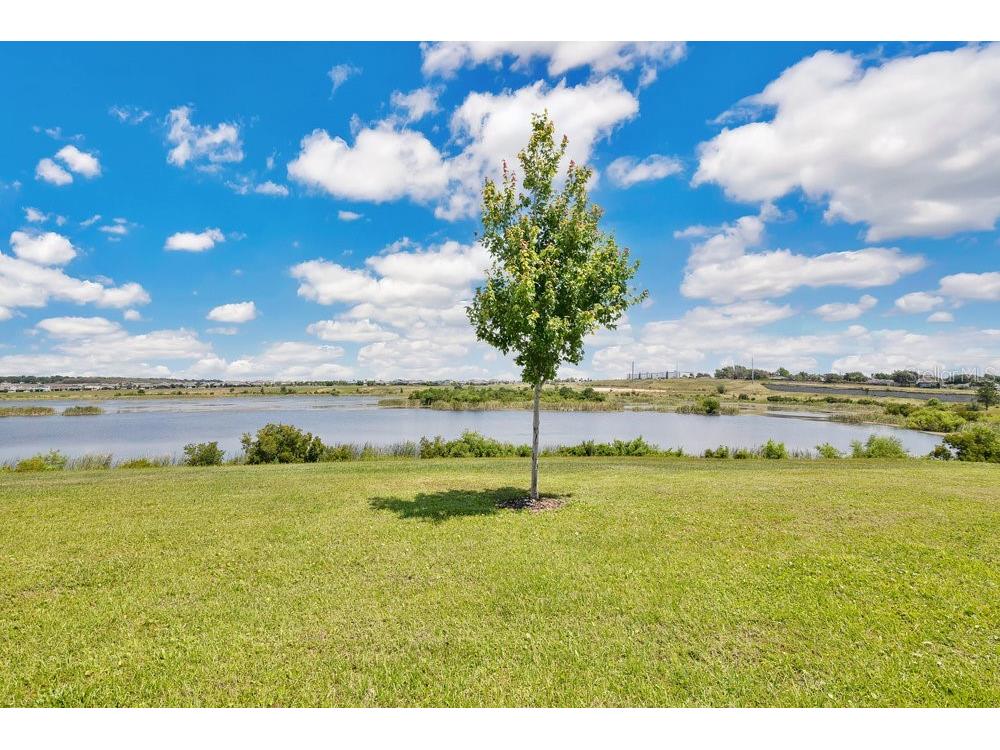 3280 Canna Lily Place Clermont FL 34711 O6313185 image25