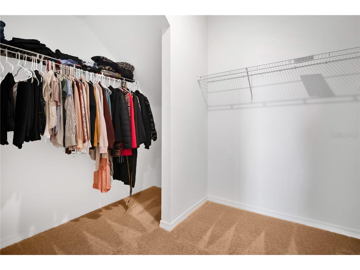 3280 Canna Lily Place Clermont FL 34711 O6363641 image15