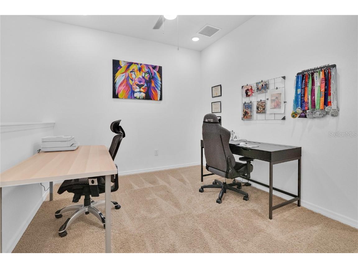 3280 Canna Lily Place Clermont FL 34711 O6363641 image21