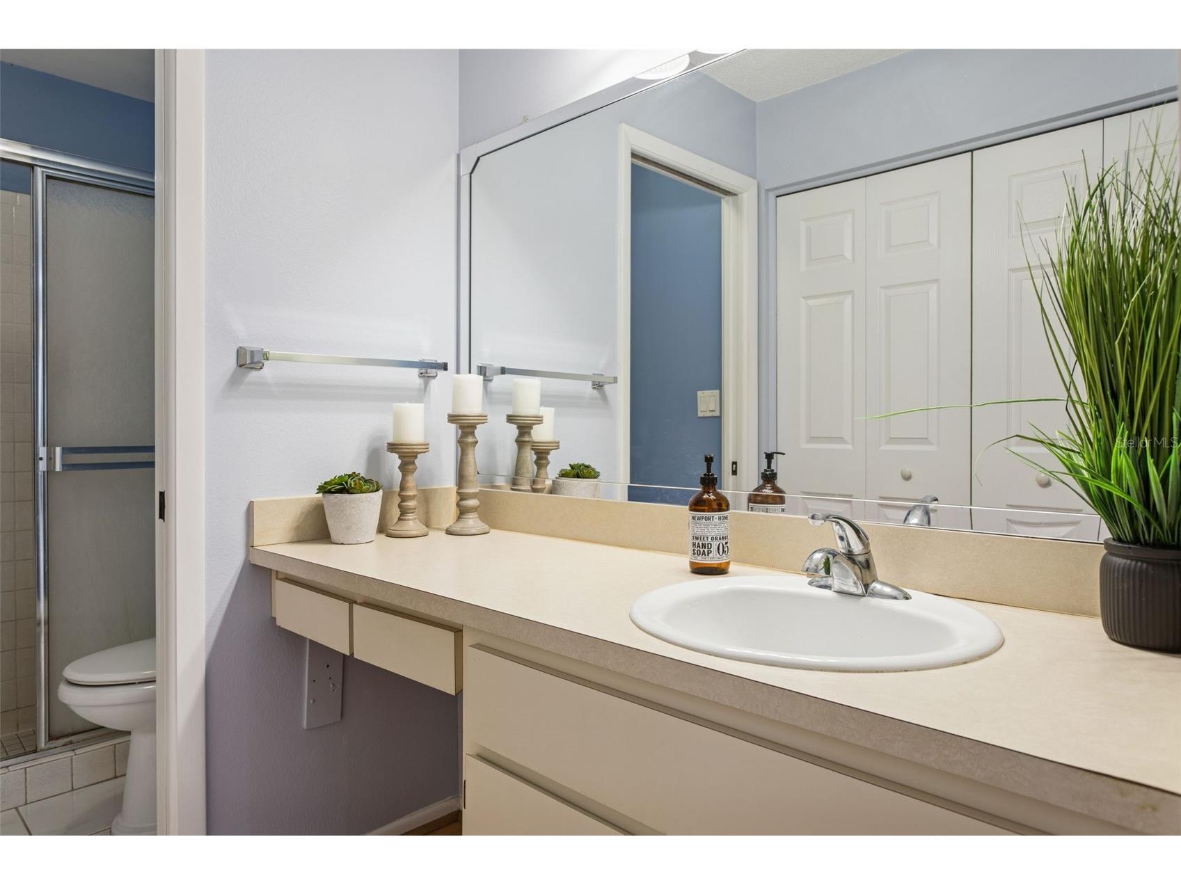 3280 Mcmath Drive Palm Harbor FL 34684 - LAKE TARPON TB8464907 image19