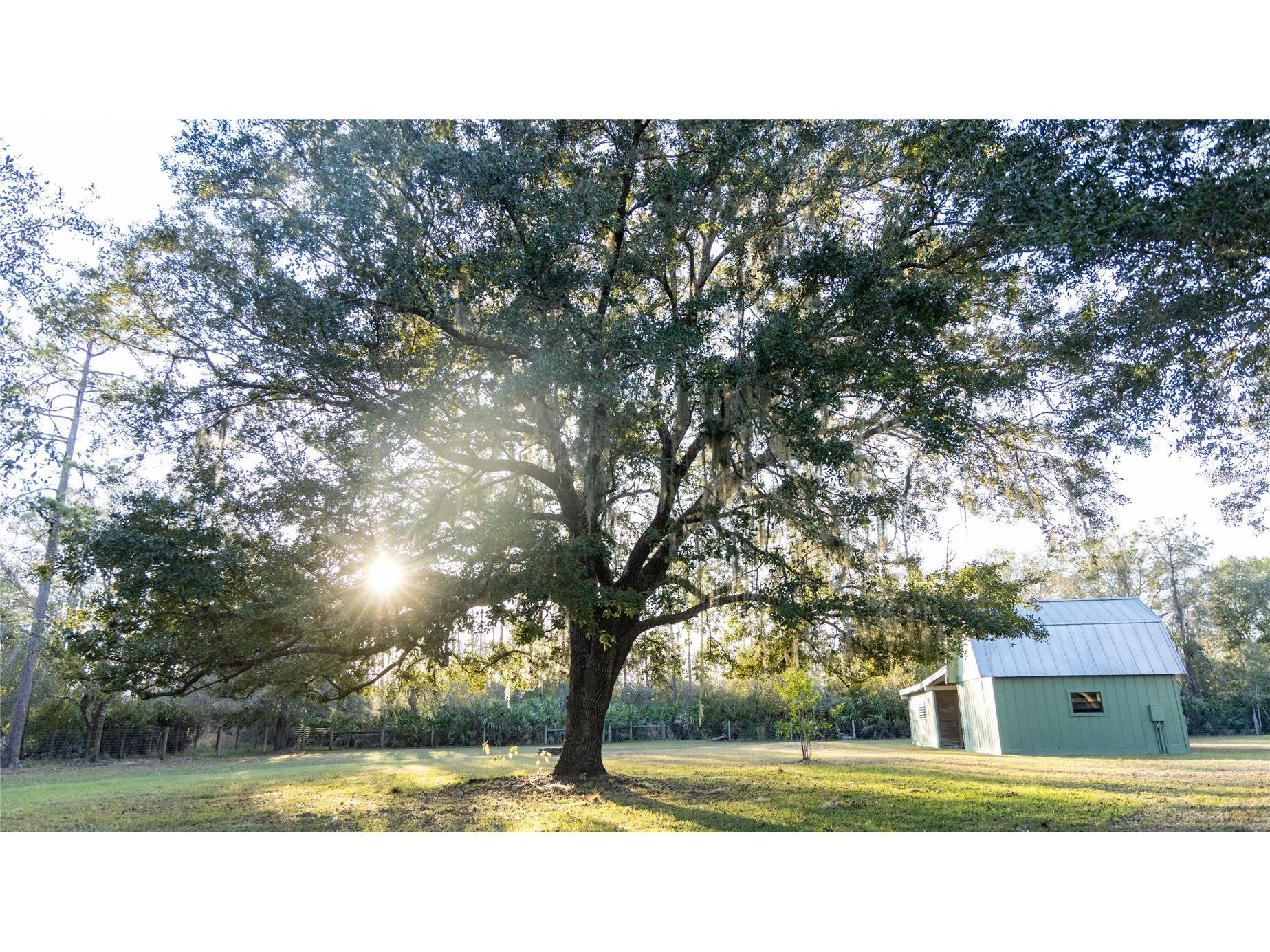 32801 Hwy 441 N #10 Okeechobee FL 34972 OK225812 image22