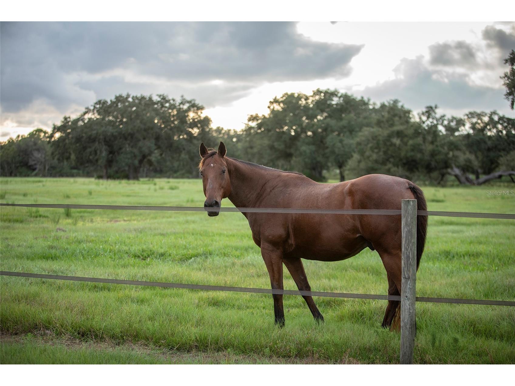 32801 Hwy 441 N #10 Okeechobee FL 34972 OK225812 image71