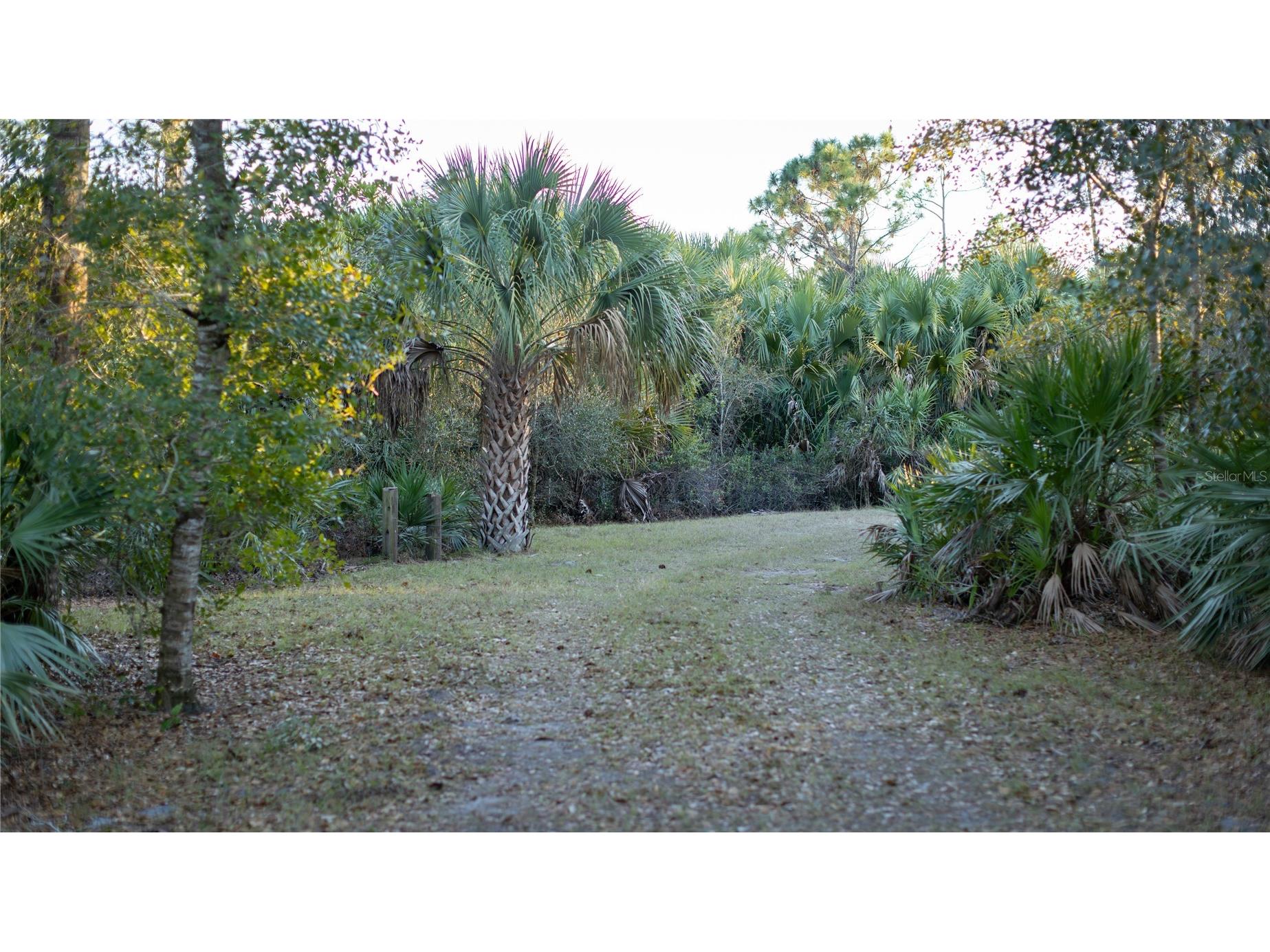 32801 Hwy 441 N #250 Okeechobee FL 34972 OK225811 image11