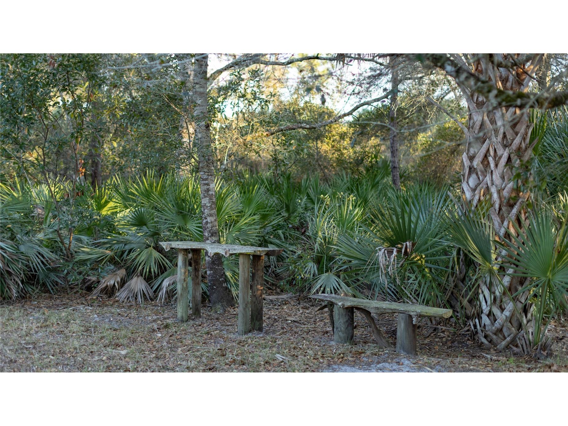 32801 Hwy 441 N #250 Okeechobee FL 34972 OK225811 image12