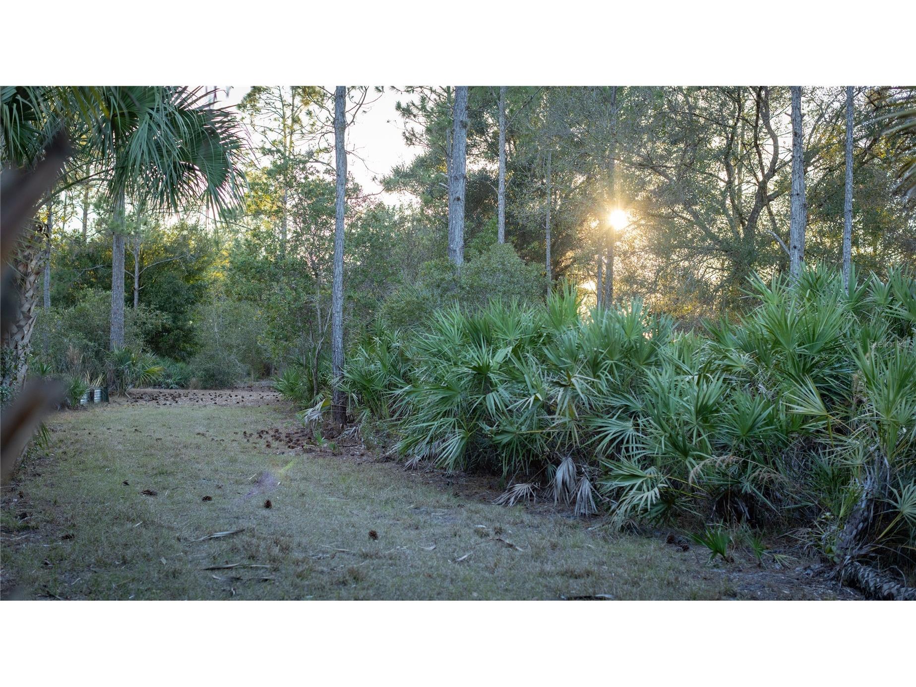 32801 Hwy 441 N #250 Okeechobee FL 34972 OK225811 image14