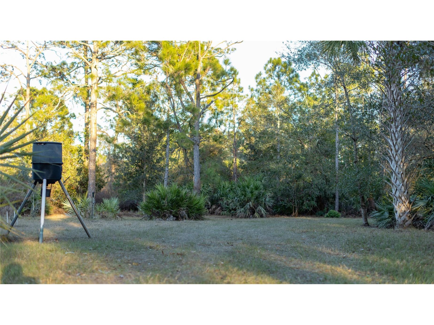 32801 Hwy 441 N #250 Okeechobee FL 34972 OK225811 image15