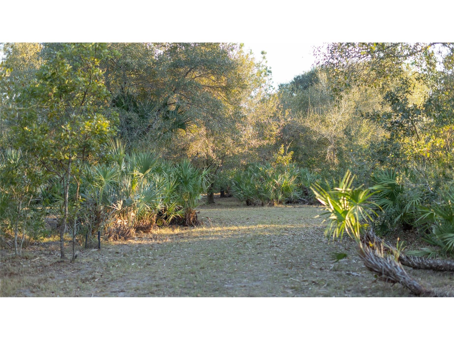 32801 Hwy 441 N #250 Okeechobee FL 34972 OK225811 image16