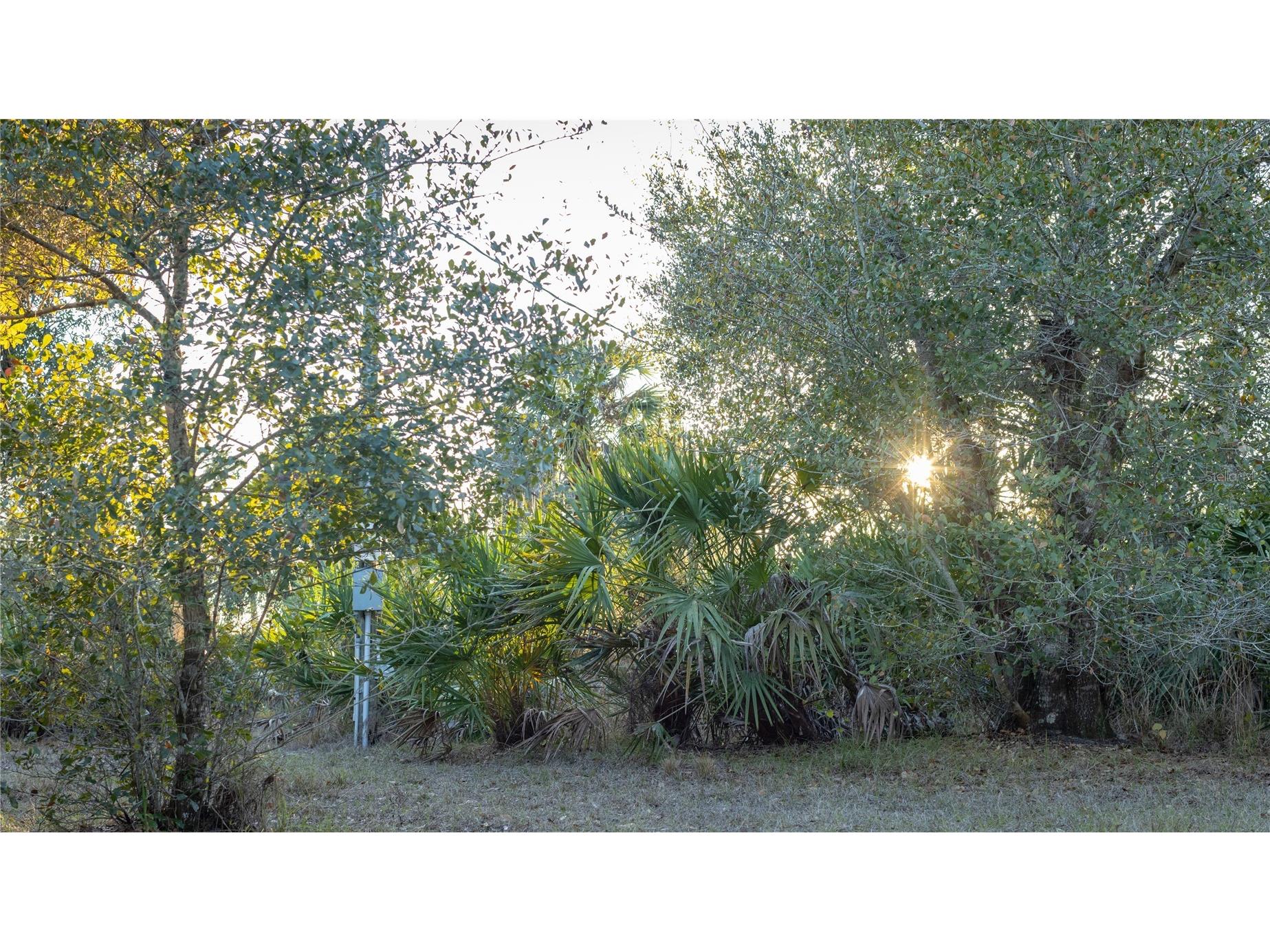 32801 Hwy 441 N #250 Okeechobee FL 34972 OK225811 image19