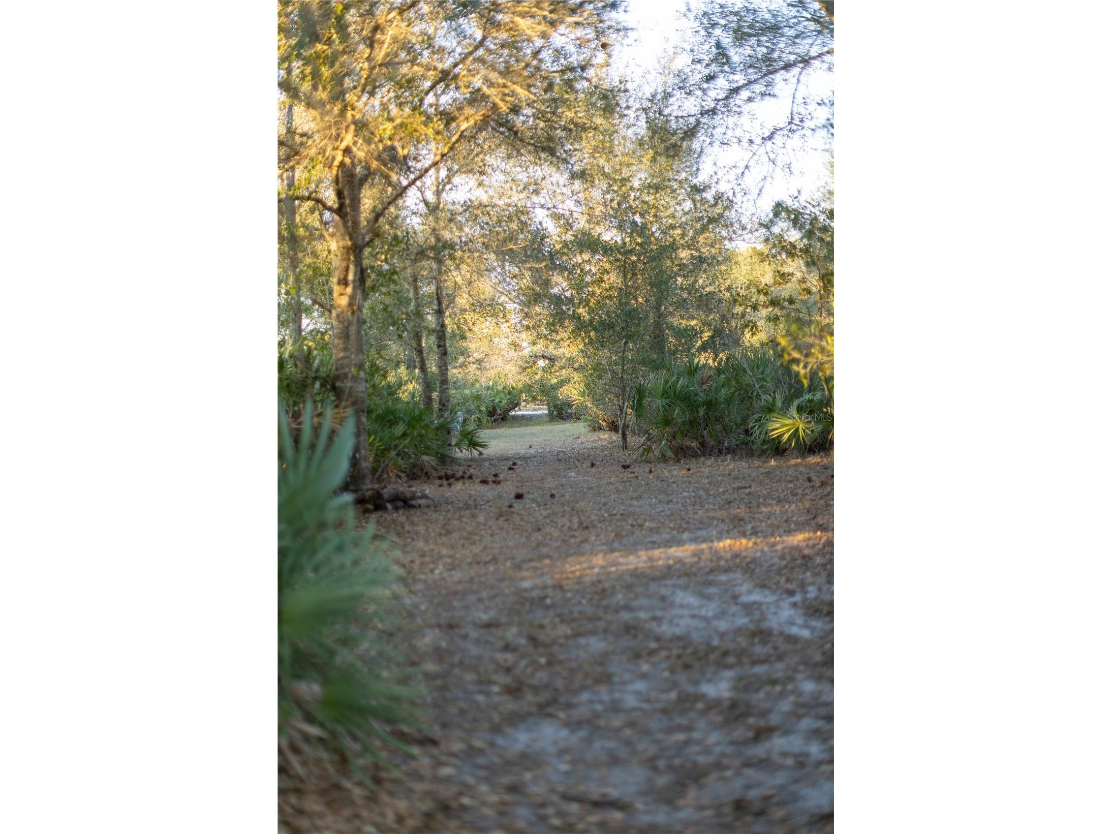 32801 Hwy 441 N #250 Okeechobee FL 34972 OK225811 image2