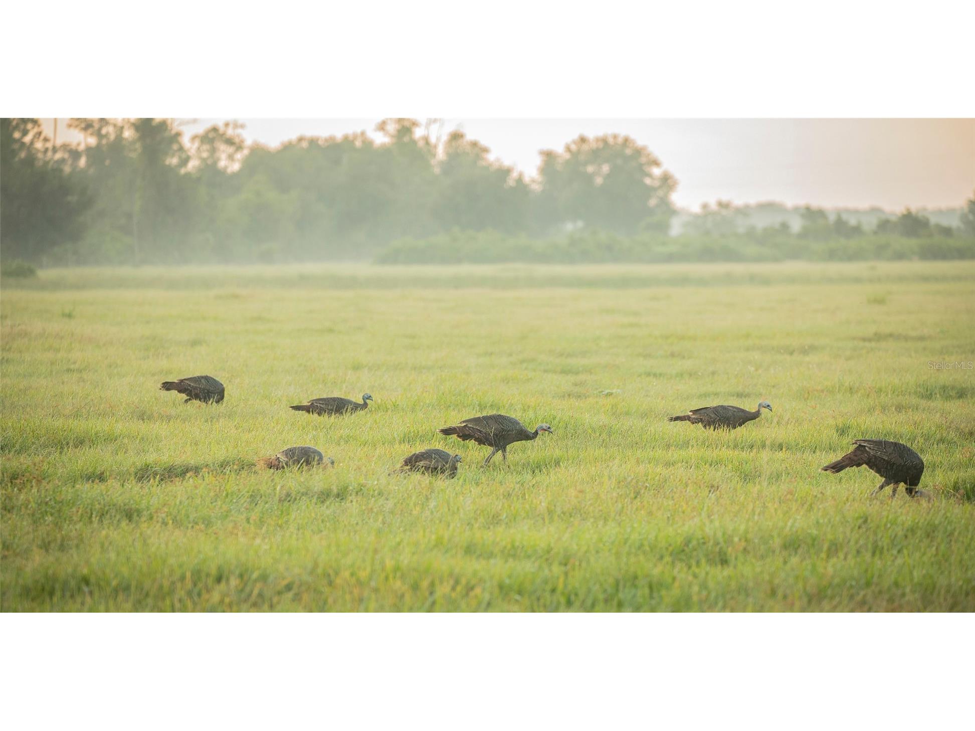 32801 Hwy 441 N #250 Okeechobee FL 34972 OK225811 image26