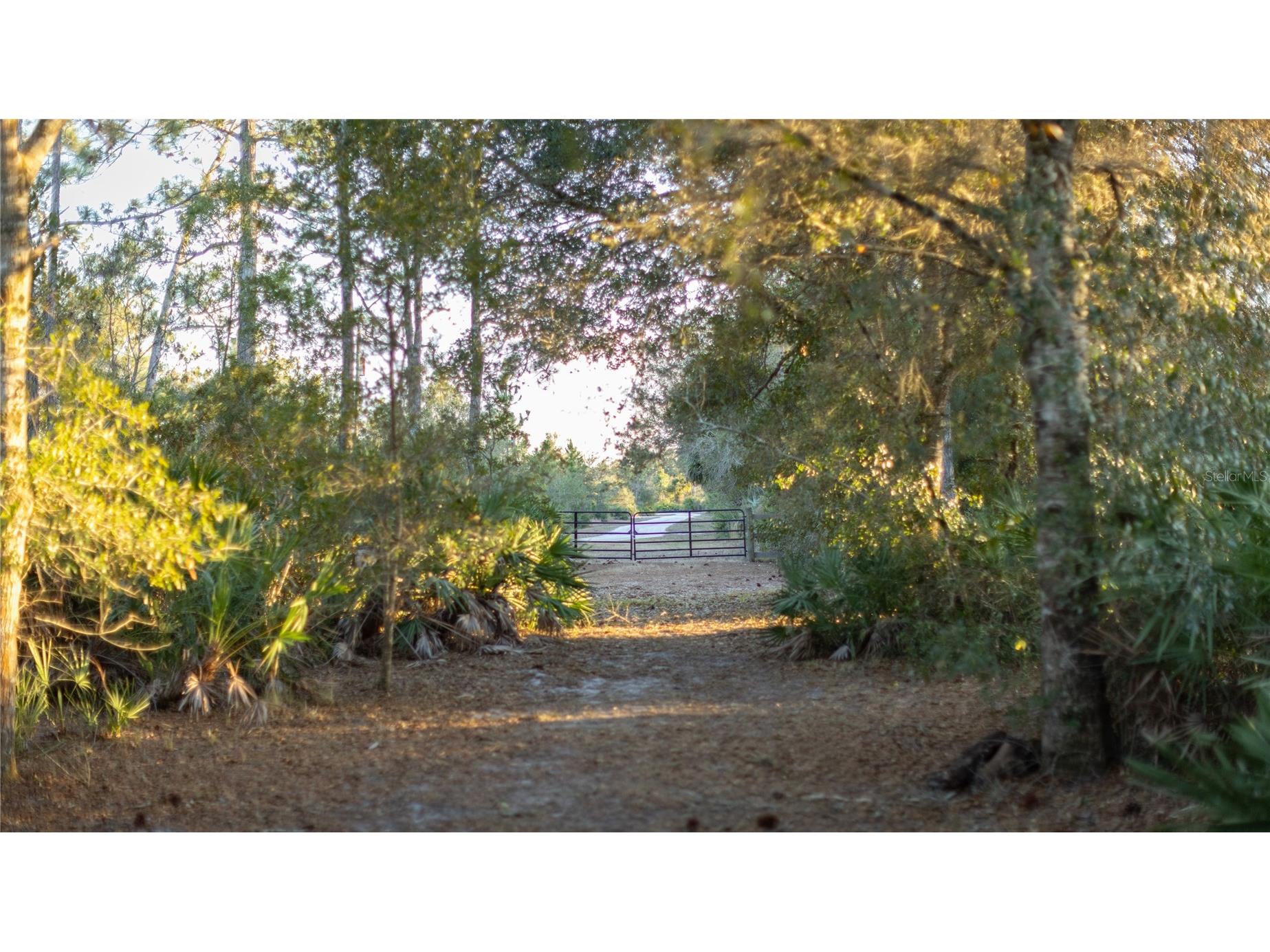 32801 Hwy 441 N #250 Okeechobee FL 34972 OK225811 image3