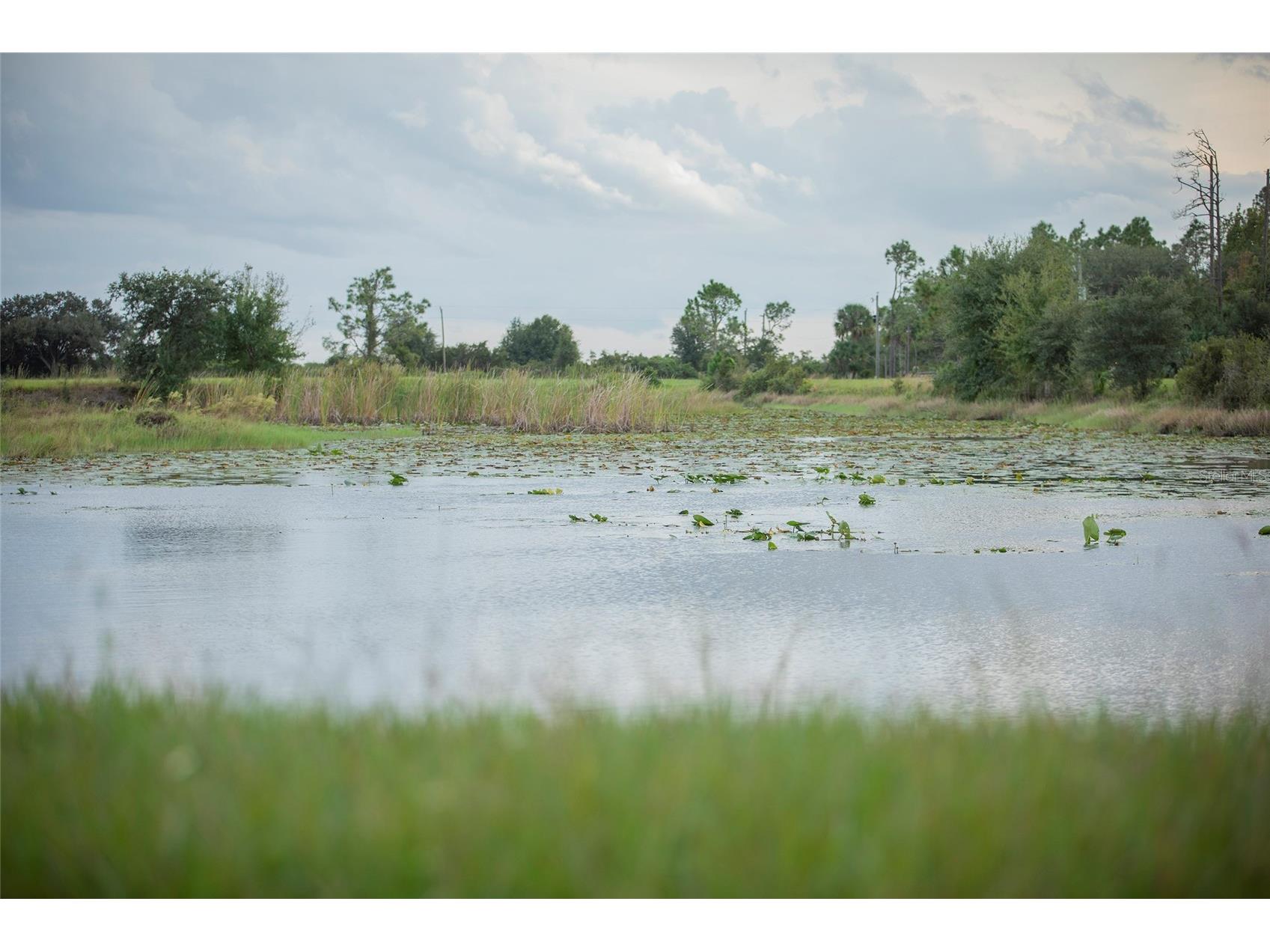 32801 Hwy 441 N #250 Okeechobee FL 34972 OK225811 image32