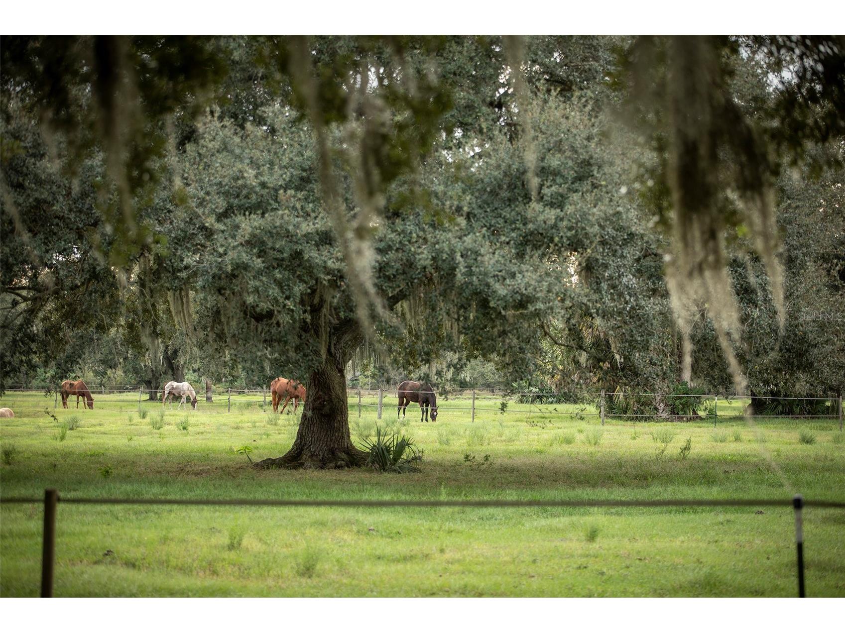 32801 Hwy 441 N #250 Okeechobee FL 34972 OK225811 image36