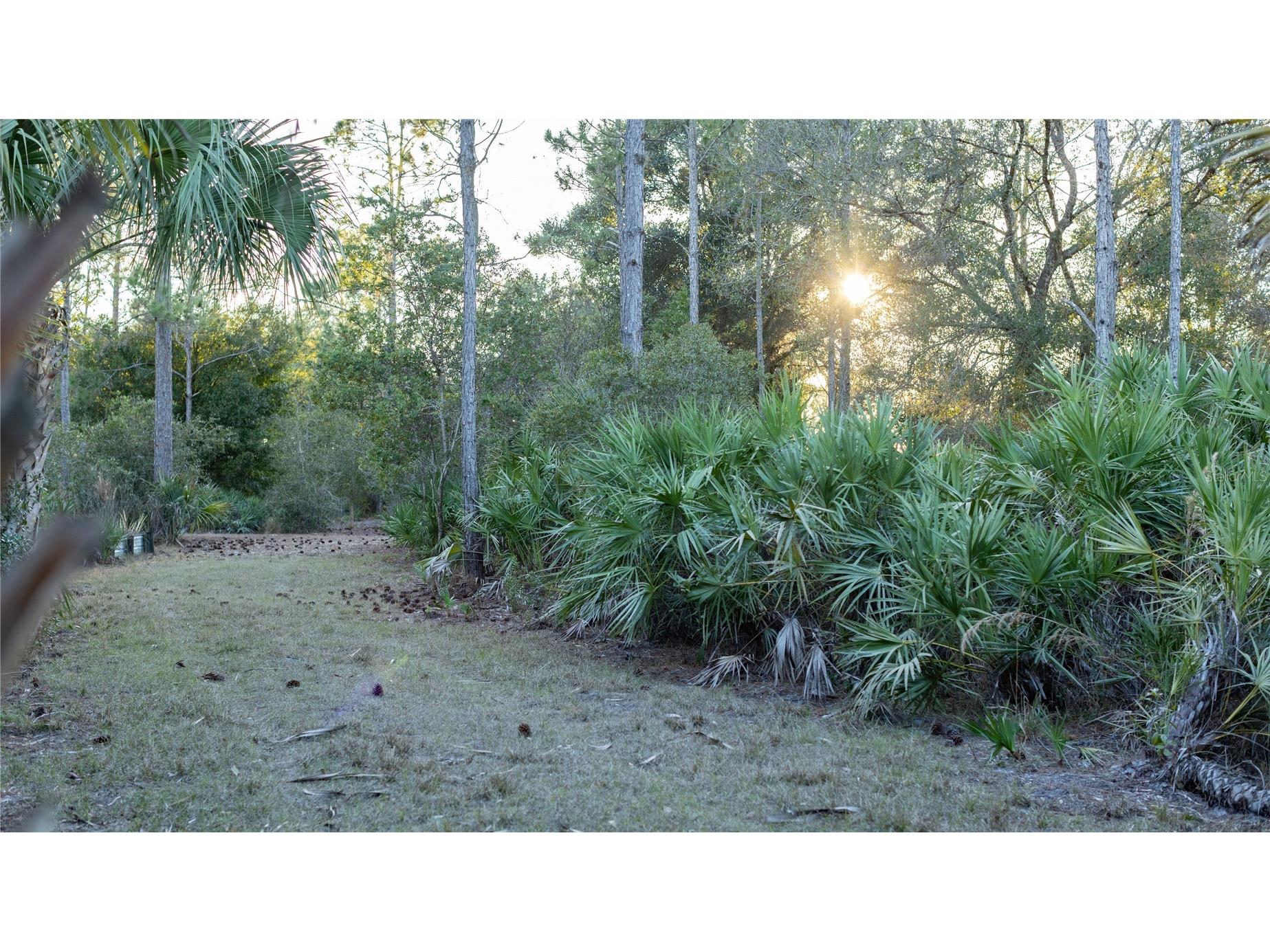 32801 Hwy 441 N #250 Okeechobee FL 34972 OK225811 image4