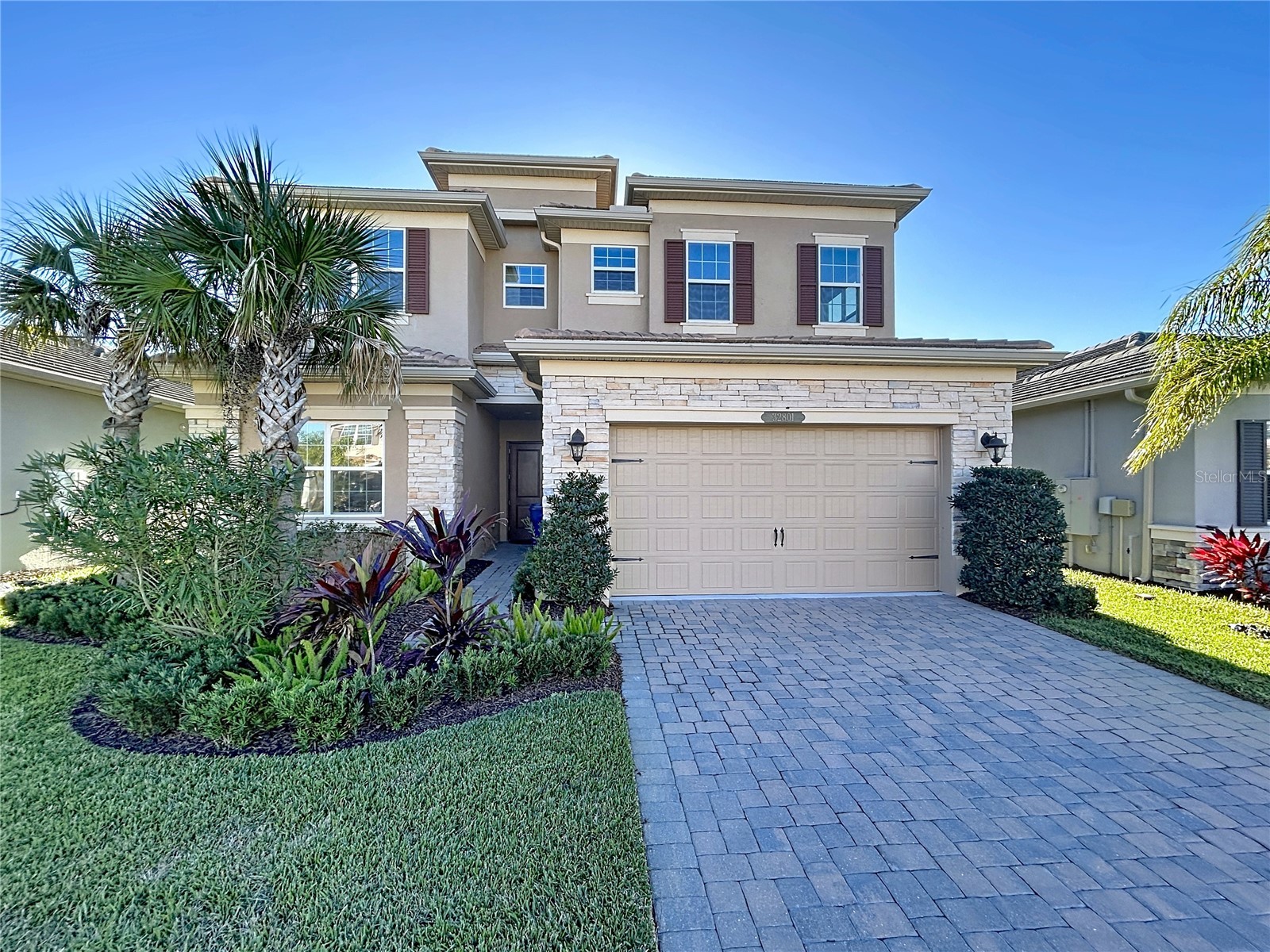 32801 Tree Of Life Avenue Wesley Chapel FL 33543 TB8467078 image1