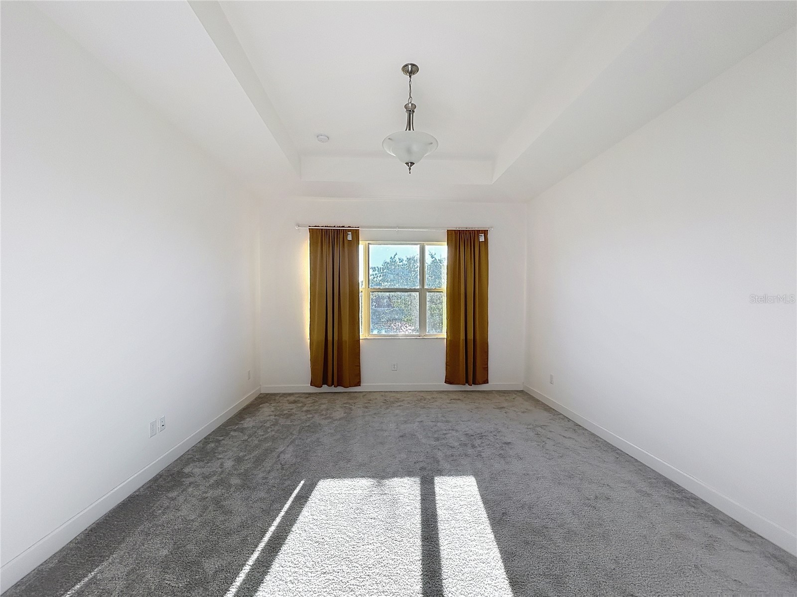 32801 Tree Of Life Avenue Wesley Chapel FL 33543 TB8467078 image14