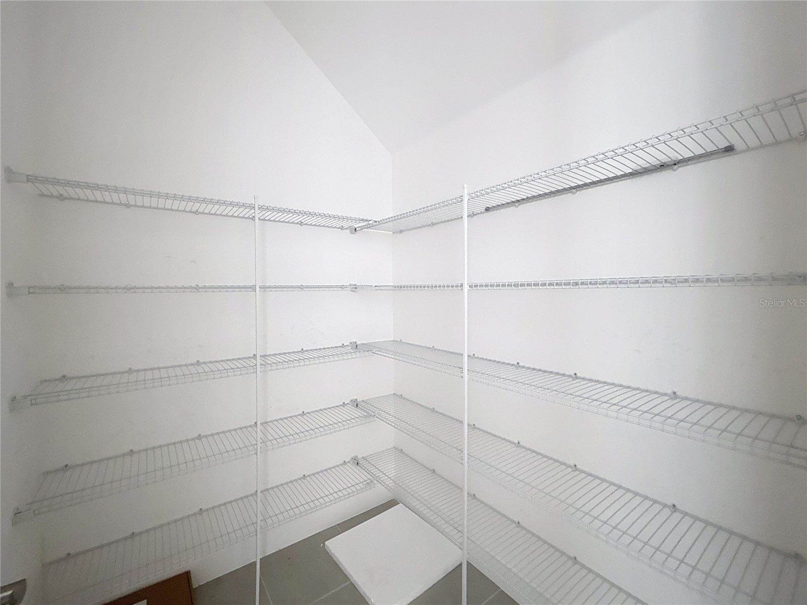 32801 Tree Of Life Avenue Wesley Chapel FL 33543 TB8467078 image17