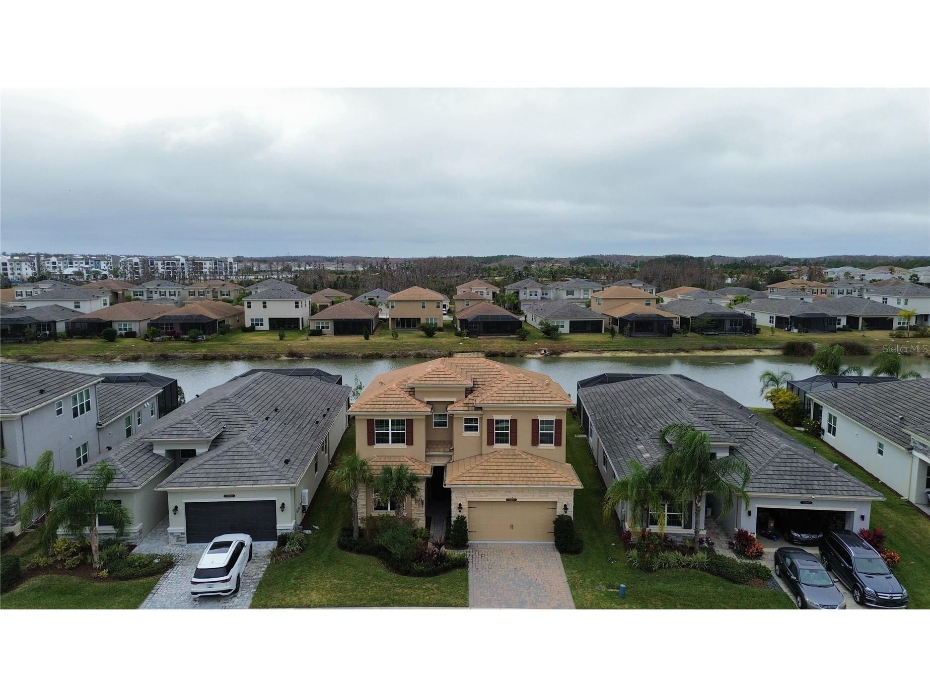 32801 Tree Of Life Avenue Wesley Chapel FL 33543 TB8467078 image2