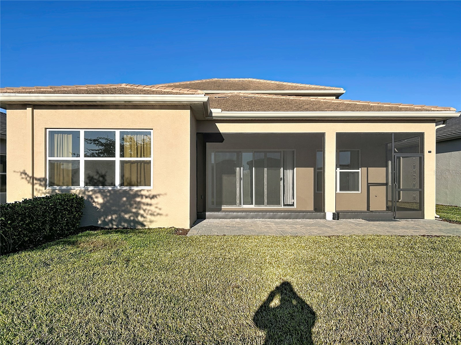 32801 Tree Of Life Avenue Wesley Chapel FL 33543 TB8467078 image26